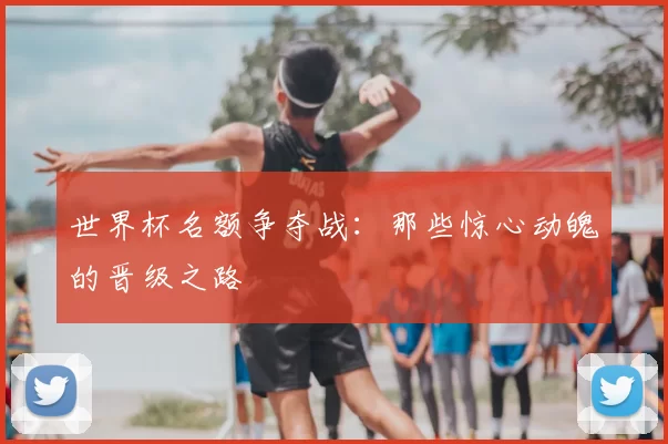 世界杯名额争夺战:那些惊心动魄的晋级之路