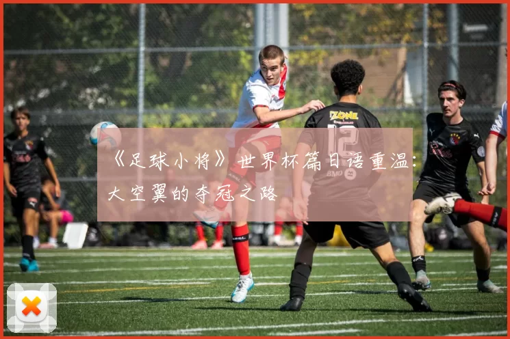 《足球小将》世界杯篇日语重温：大空翼的夺冠之路