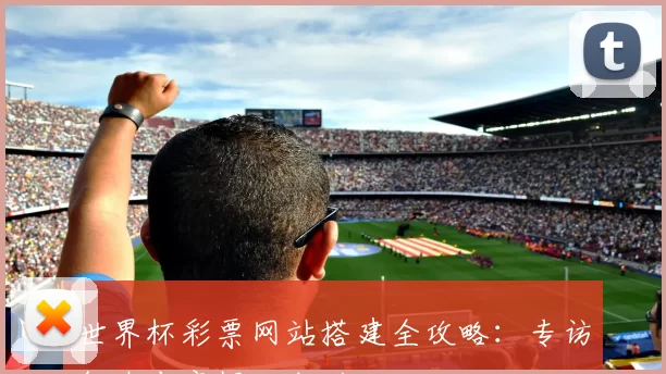 世界杯彩票网站搭建全攻略：专访行业专家揭秘成功秘诀