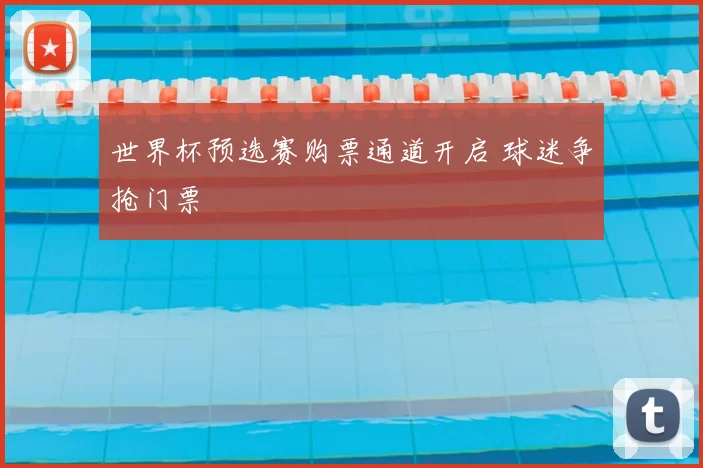 世界杯预选赛购票通道开启 球迷争抢门票