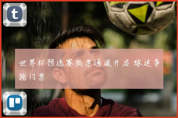 世界杯预选赛购票通道开启 球迷争抢门票