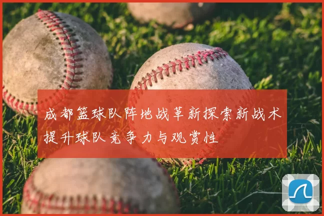 成都篮球队阵地战革新探索新战术提升球队竞争力与观赏性