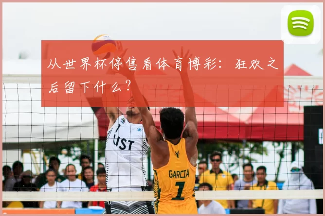 从世界杯停售看体育博彩:狂欢之后留下什么?